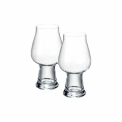 Luigi Bormioli Birrateque 20.25oz Stout Glass | Set Of 2