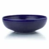 Fiesta® 68oz Large Bistro Bowl | Twilight