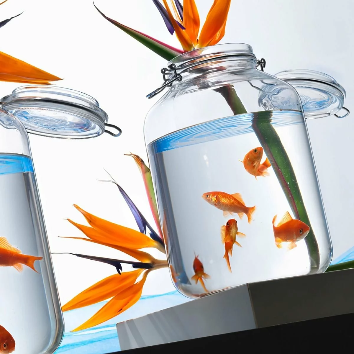 Bormioli Rocco 4.67L Swing Top Fido Glass Jar - Image 3