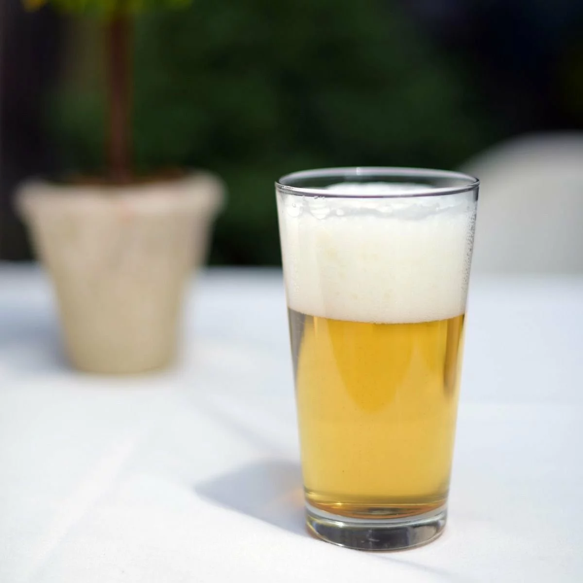 Bormioli Rocco 19.5oz Sestriere Pint Glasses | 6-pack - Image 6