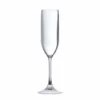 Fortessa OutSide™ 5oz Copolyester Champagne Flute