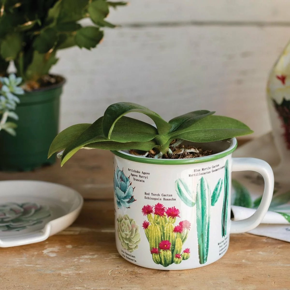 Danica Brands Now Designs 14oz Heritage Mug | Botanical Cacti - Image 3